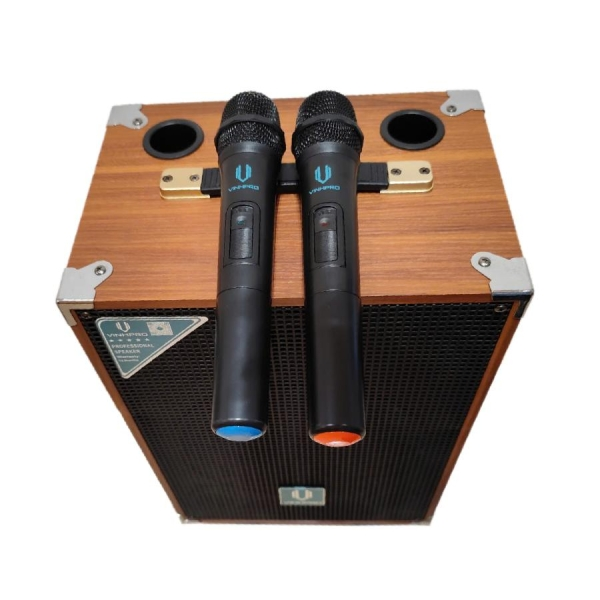 Loa Kéo VINHPRO V10  Bass25