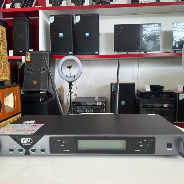 Micro không dây FM K500 Pro