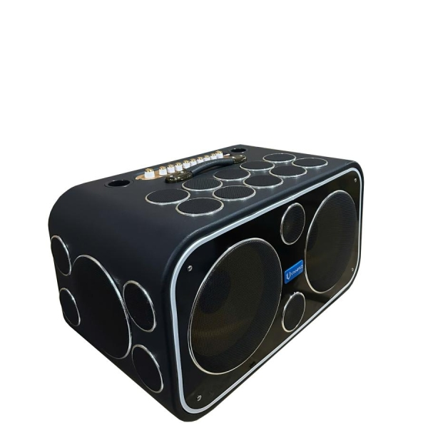 Loa Xách Tay VinhPro 24 đường tiếng V-225S24, Công suất cực đại 600W
